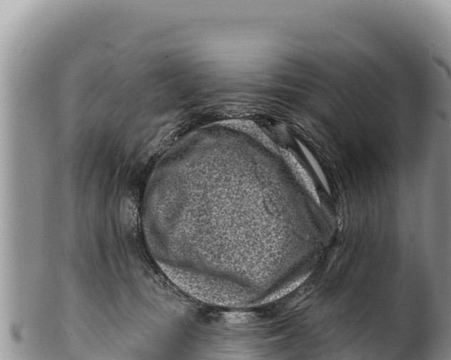X0000100210371200806201450