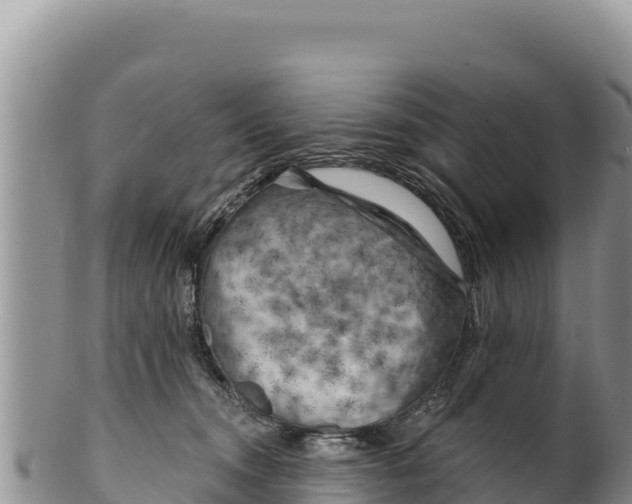 X0000100210372200806201450