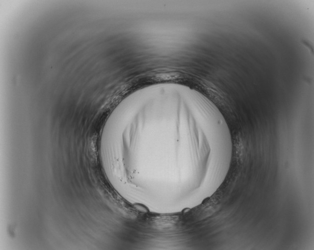 X0000100210373200806201450