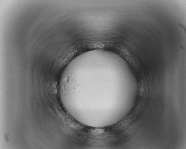 X0000100210374200806201450