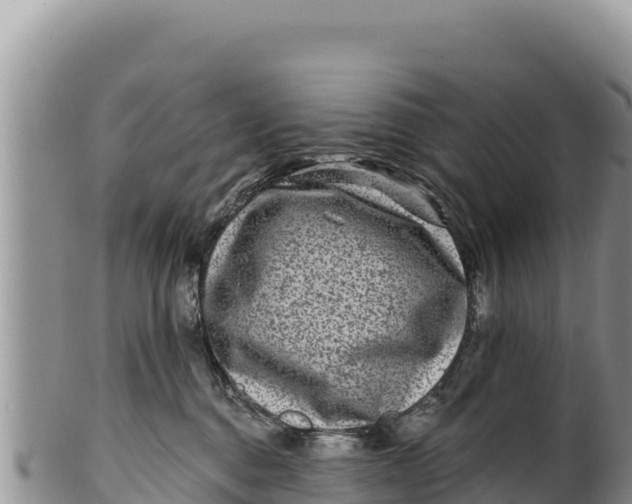 X0000100210376200806201450