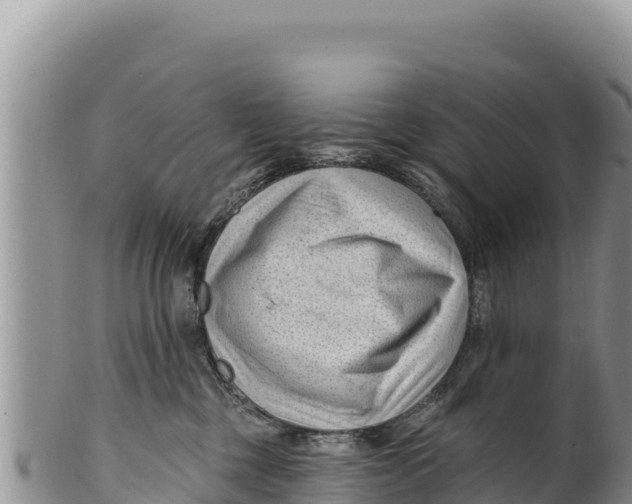 X0000100210377200806201450