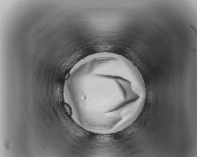 X0000100210378200806201450