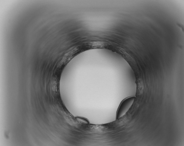 X0000100210379200806201450