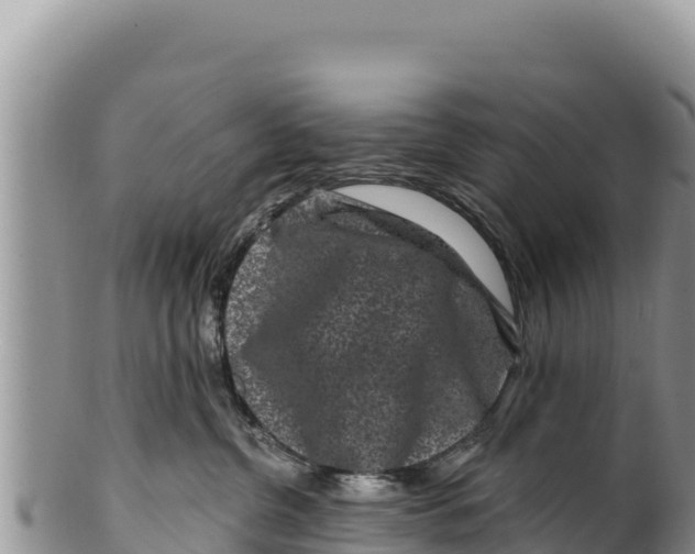 X0000100210380200806201450