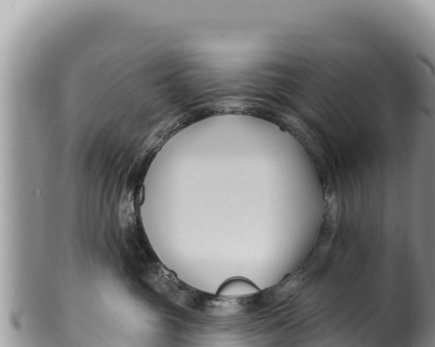 X0000100210381200806201450