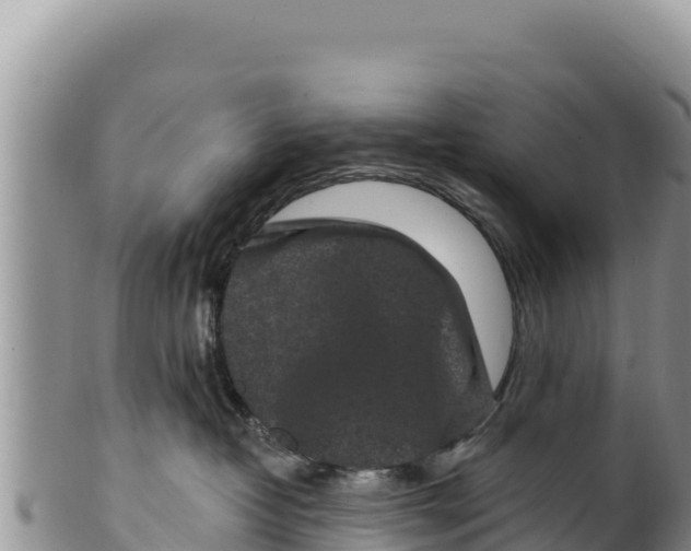 X0000100210382200806201450