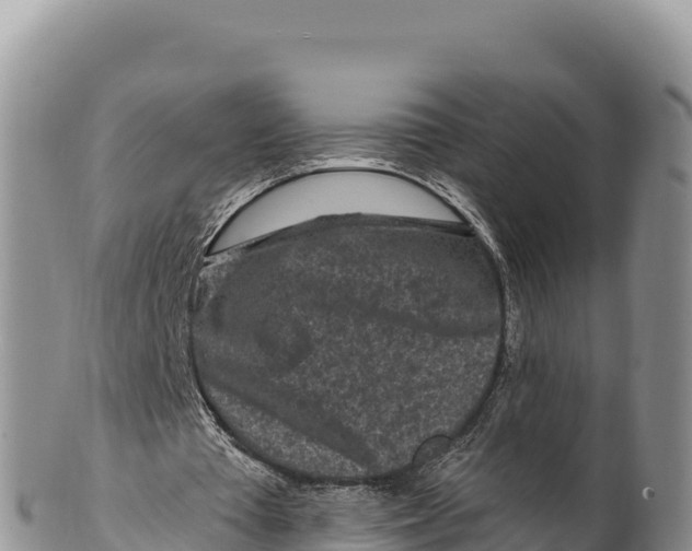 X0000100210385200806201449
