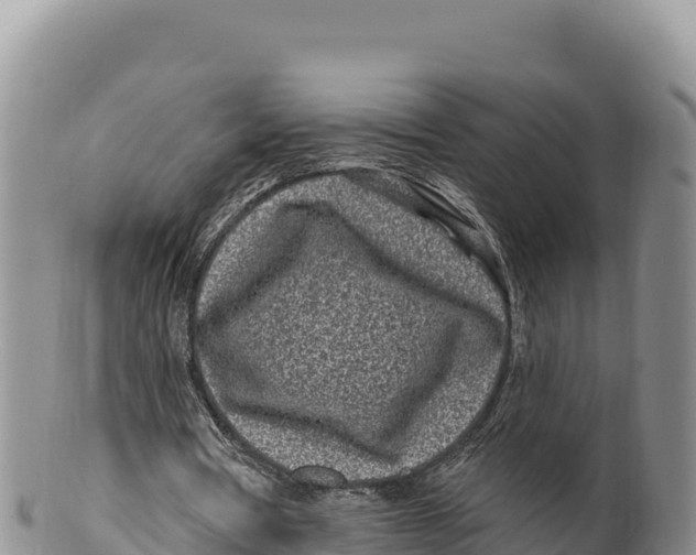 X0000100210386200806201449