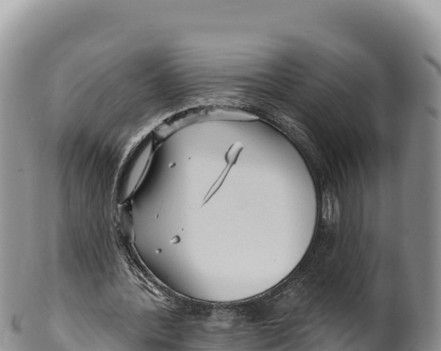 X0000100210388200806201449