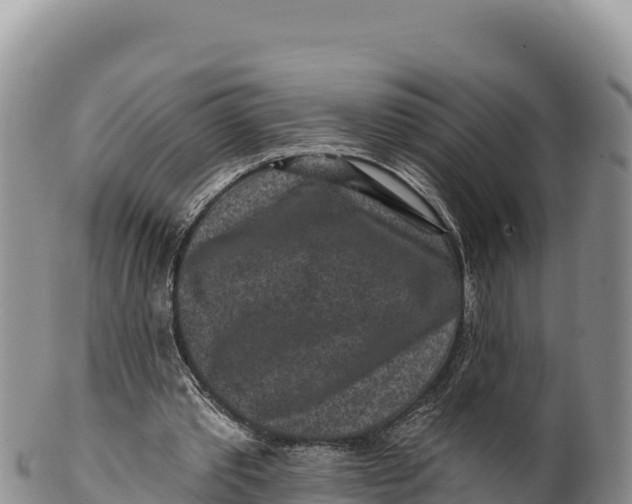 X0000100210389200806201449