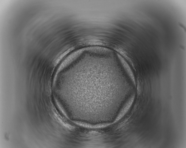 X0000100210390200806201449