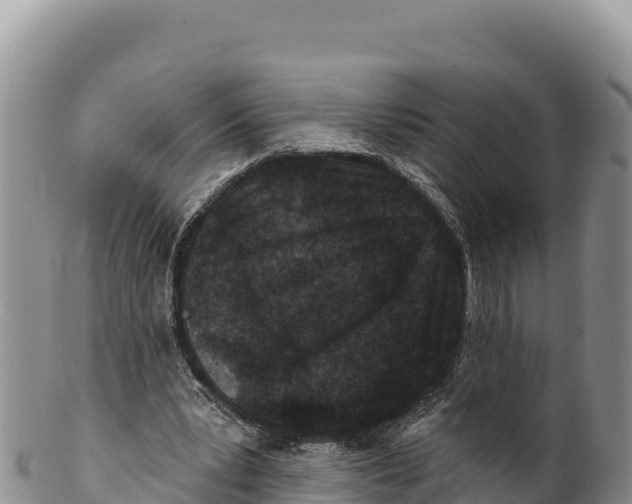X0000100210391200806201449