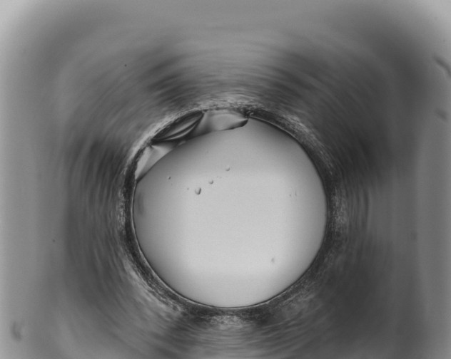 X0000100210392200806201449