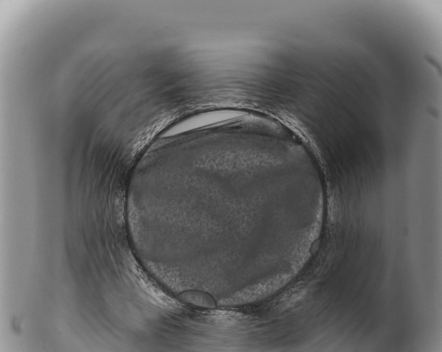 X0000100210393200806201449