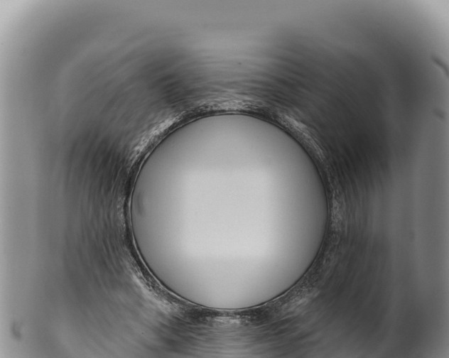 X0000100210394200806201449