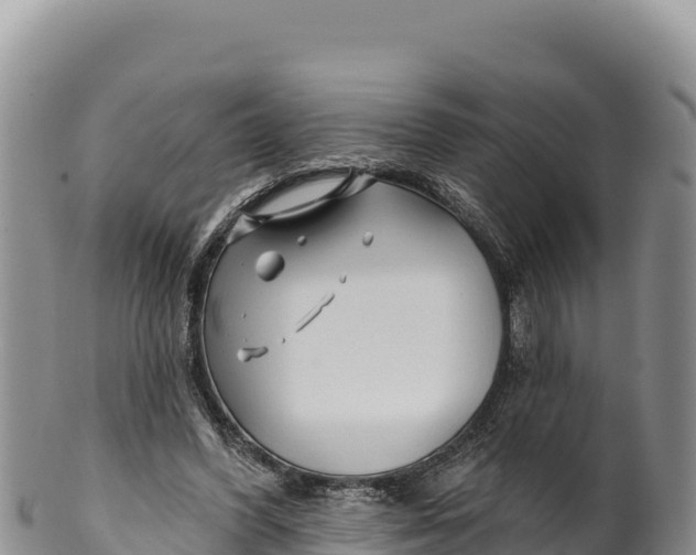 X0000100210396200806201449