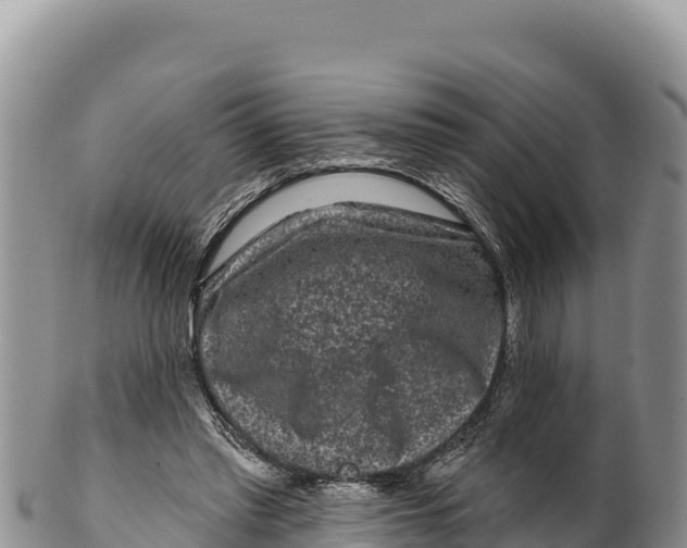 X0000100210397200806201449