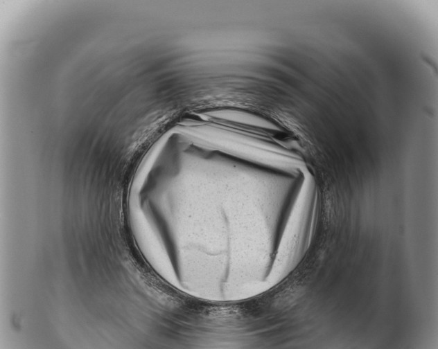 X0000100210398200806201449