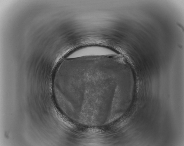 X0000100210399200806201449