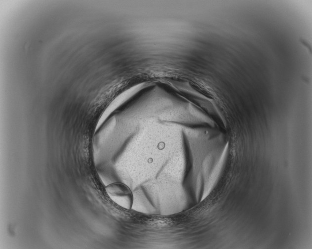 X0000100210402200806201449