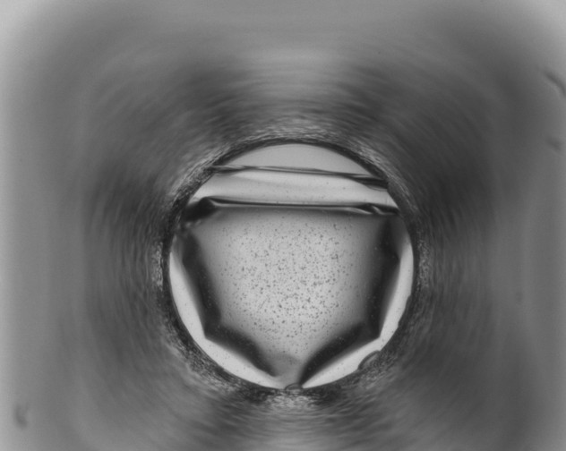 X0000100210403200806201449