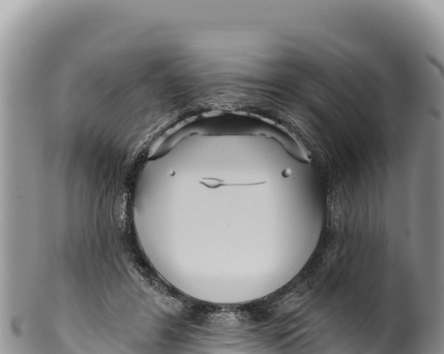X0000100210404200806201449