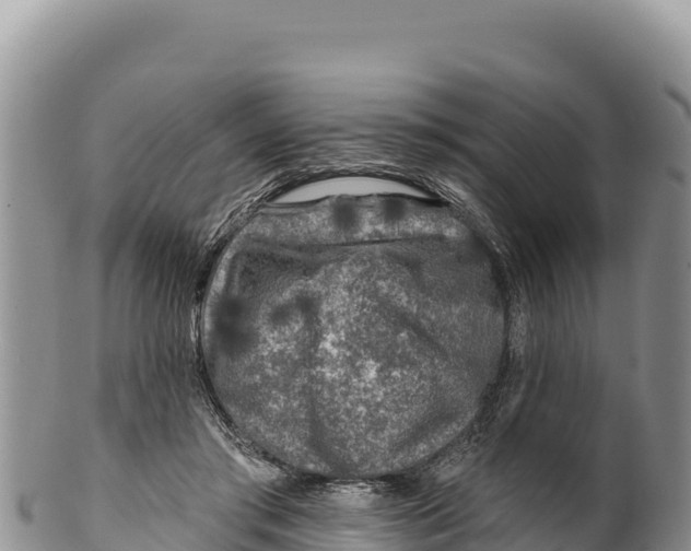 X0000100210405200806201449