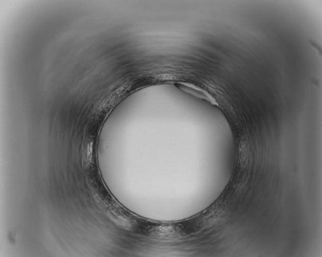 X0000100210406200806201449