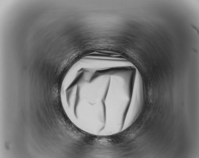 X0000100210407200806201449