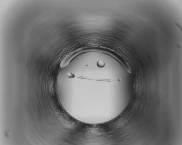 X0000100210408200806201449