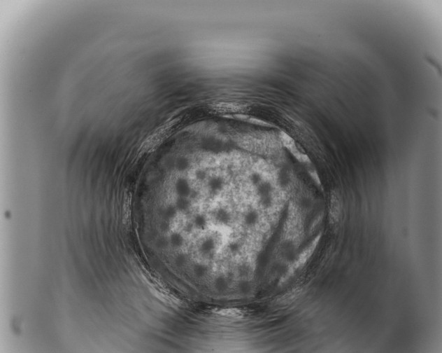 X0000100210409200806201449