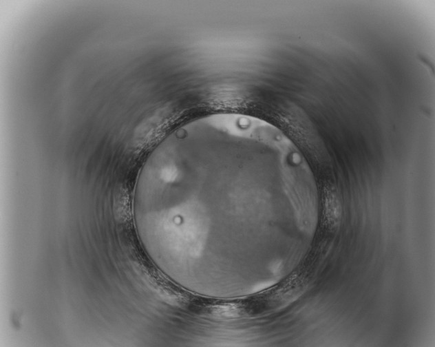 X0000100210411200806201449