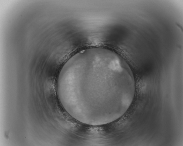 X0000100210415200806201449
