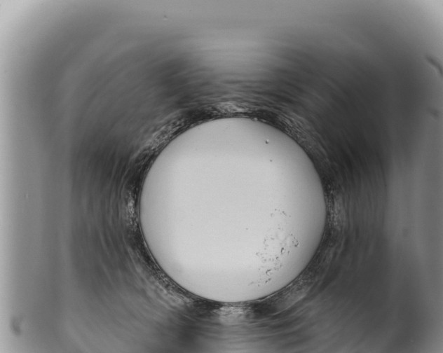 X0000100210418200806201449