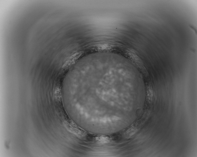 X0000100210419200806201449