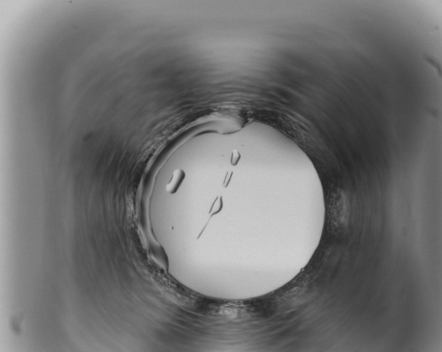 X0000100210420200806201449
