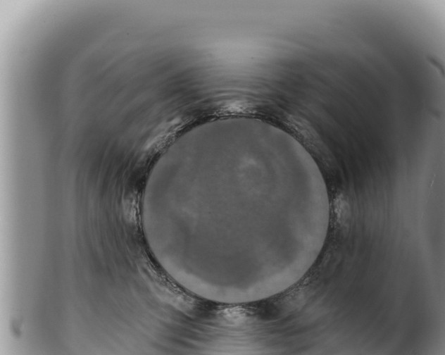 X0000100210423200806201449
