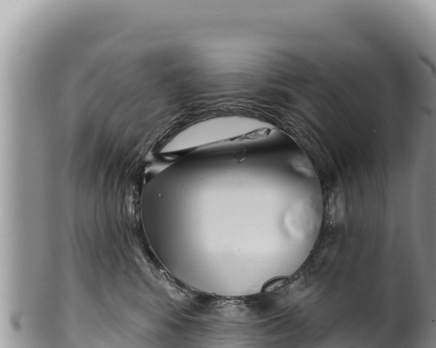 X0000100210424200806201449