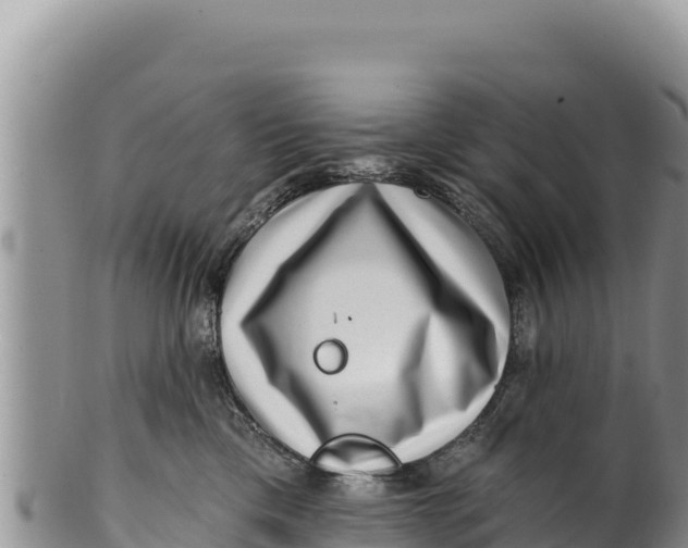 X0000100210425200806201449