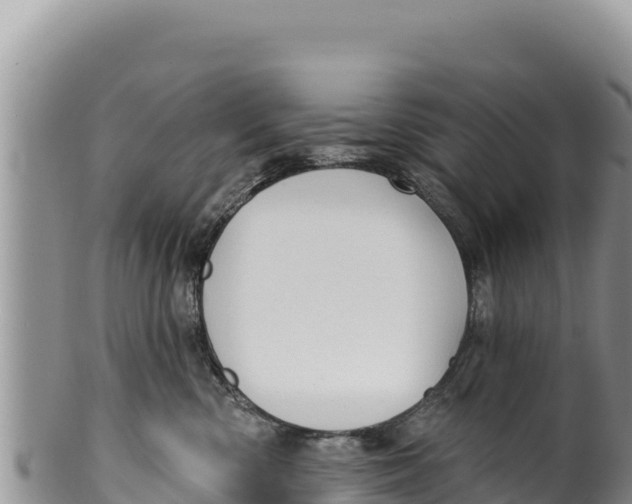 X0000100210426200806201449