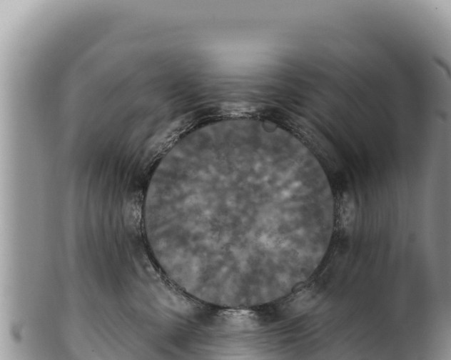 X0000100210427200806201449