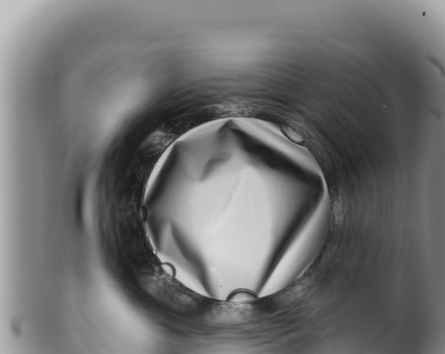 X0000100210429200806201449