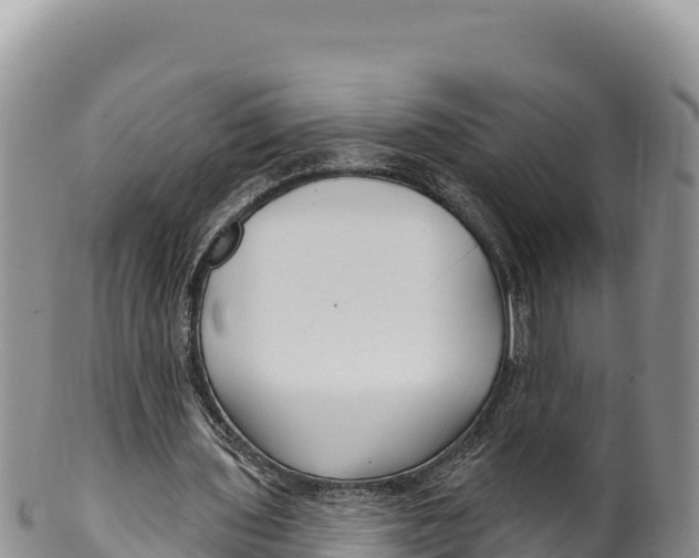 X0000100210435200806201448
