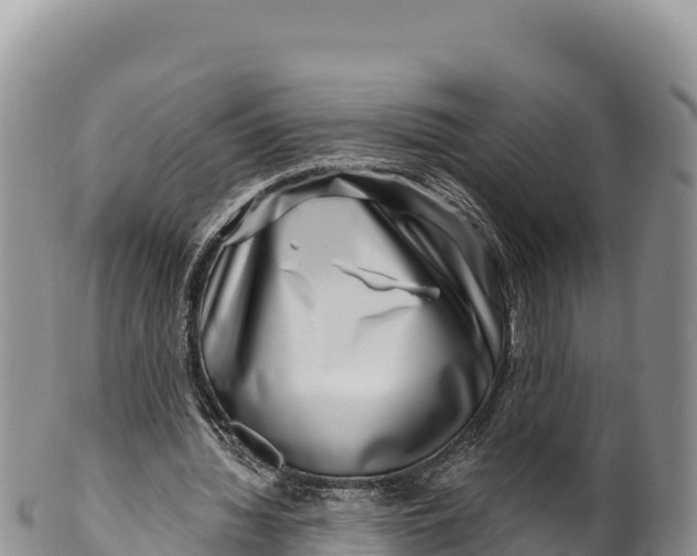 X0000100210436200806201448