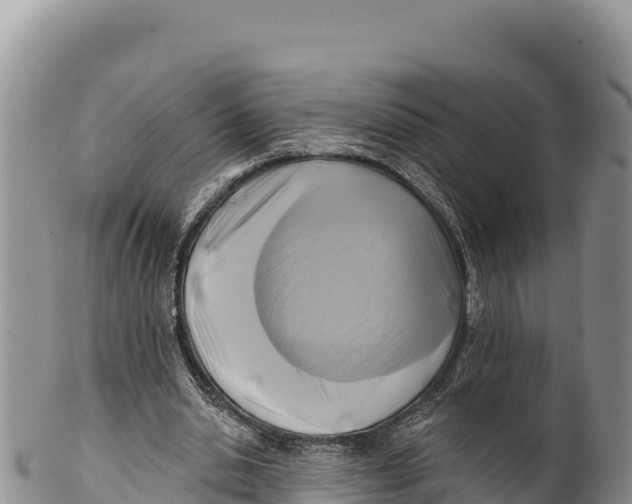 X0000100210438200806201448