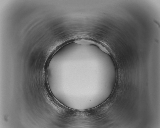 X0000100210439200806201448