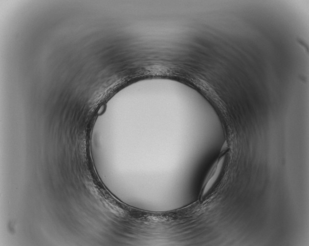 X0000100210442200806201448