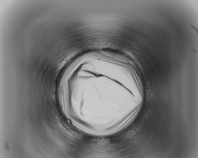 X0000100210443200806201448