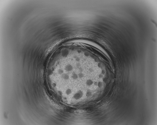 X0000100210444200806201448